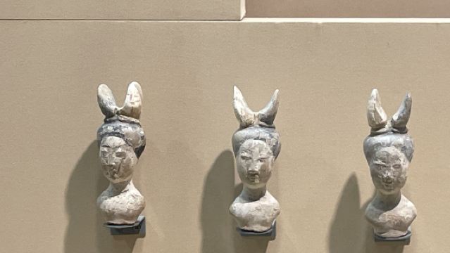 Lawatan sehari ke Muzium Peringatan Mangsa Pembunuhan Beramai-ramai Nanjing oleh Tentera Jepun dan Muzium Nanjing dengan penerangan berpandu termasuk tiket masuk