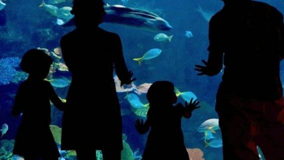 Veracruz & Mandinga Lake Highlights Tour