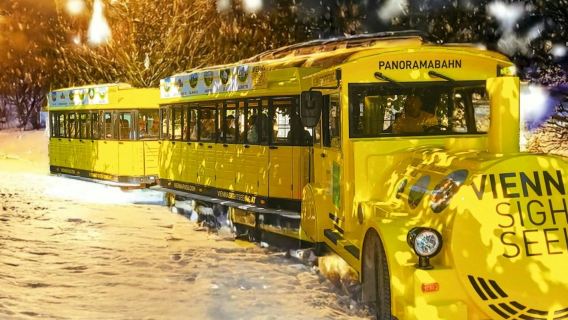 Vienna: biglietto Christmas Express