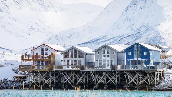 Polaria + Tromsø cable car+ Tromsø Fjord + Tromsø cable car