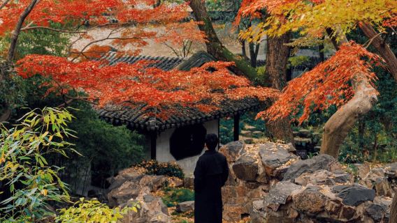 ทัวร์ส่วนตัวซูโจวหนึ่งวันพร้อมสวนหลิงเจี้ยง/พิพิธภัณฑ์ไหม/ถนนซานถัง/ล่องเรือชมแม่น้ำ