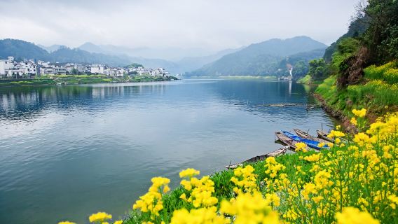 上門接·新安江山水畫廊+徽州古城1日遊【含入場門票+船票+車導】