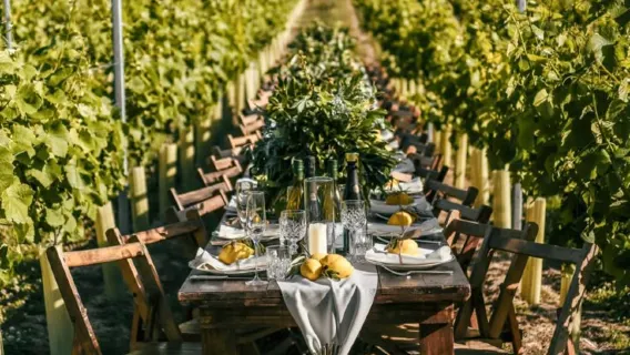 From Tirana: Wine tasting , wine tour , kayak and full lunch