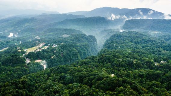 Depart from Chengdu: Ya'an-Mengding Mountain + Shangli Ancient Town one-day tour private charter Multilingual guide C