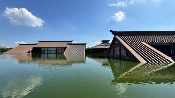 Tagesausflug zu den kulturellen Stätten von Guangfulin in Shanghai, dem Chenshan Botanischen Garten und Panlong Tiandi „Auf der Suche nach den Wurzeln Shanghais“