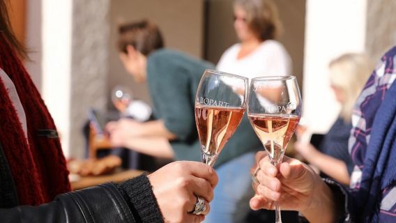 Familia Torres Winery: Gastronomic Tapas & Wine Experience Tour from Barcelona