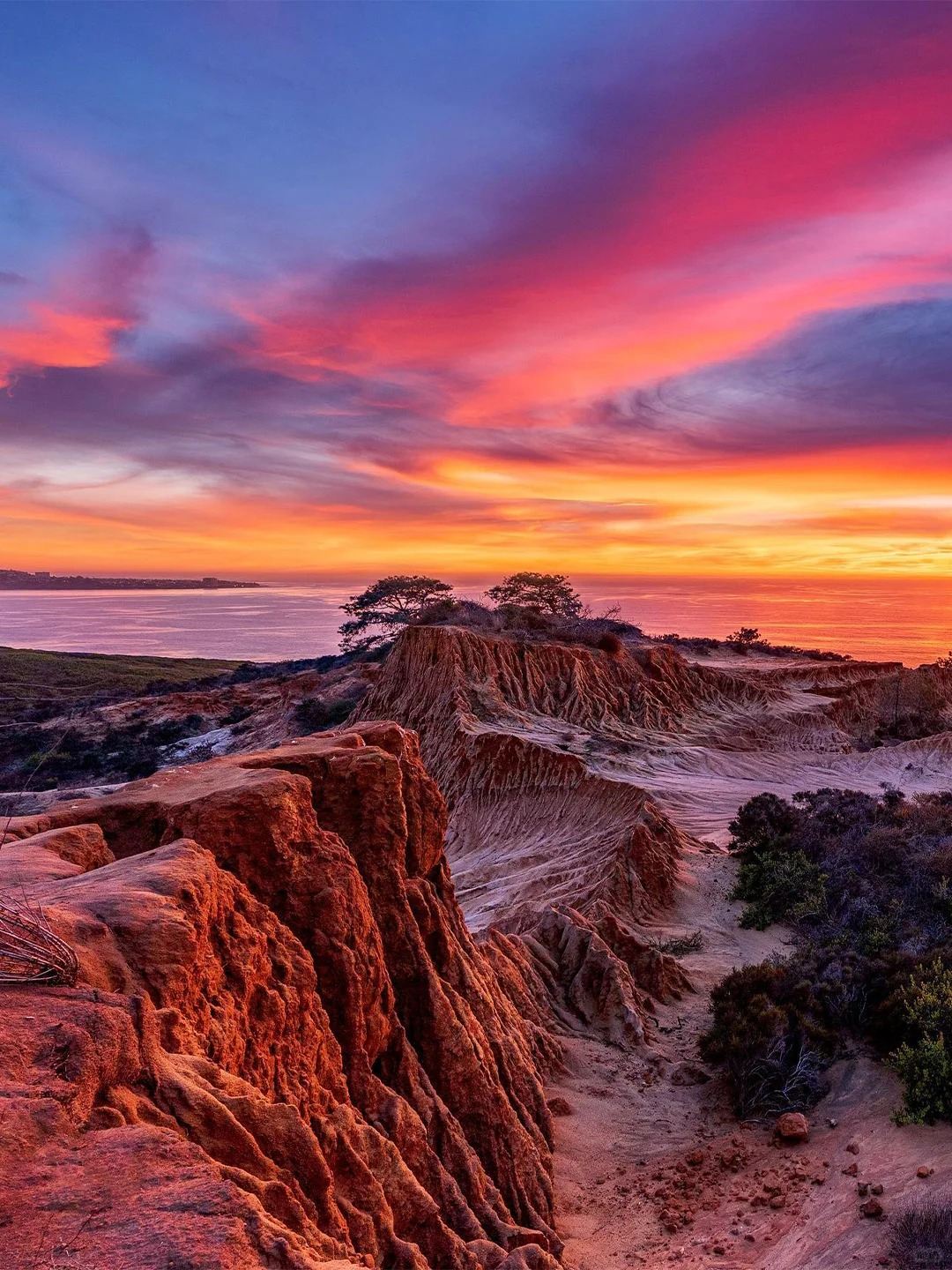 美國聖地牙哥—聖地牙哥老城區等經典景點一日遊包車【精選老司機】