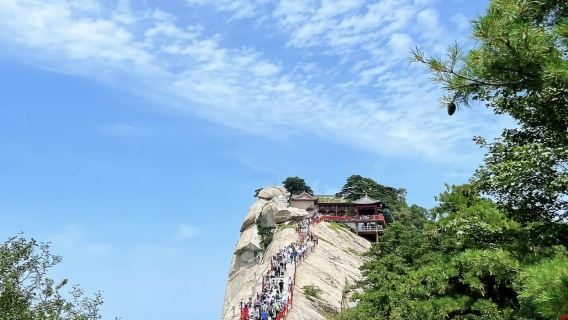 Однодневный тур в Сиань и гору Хуашань с индивидуальным трансфером (включен англоговорящий гид)