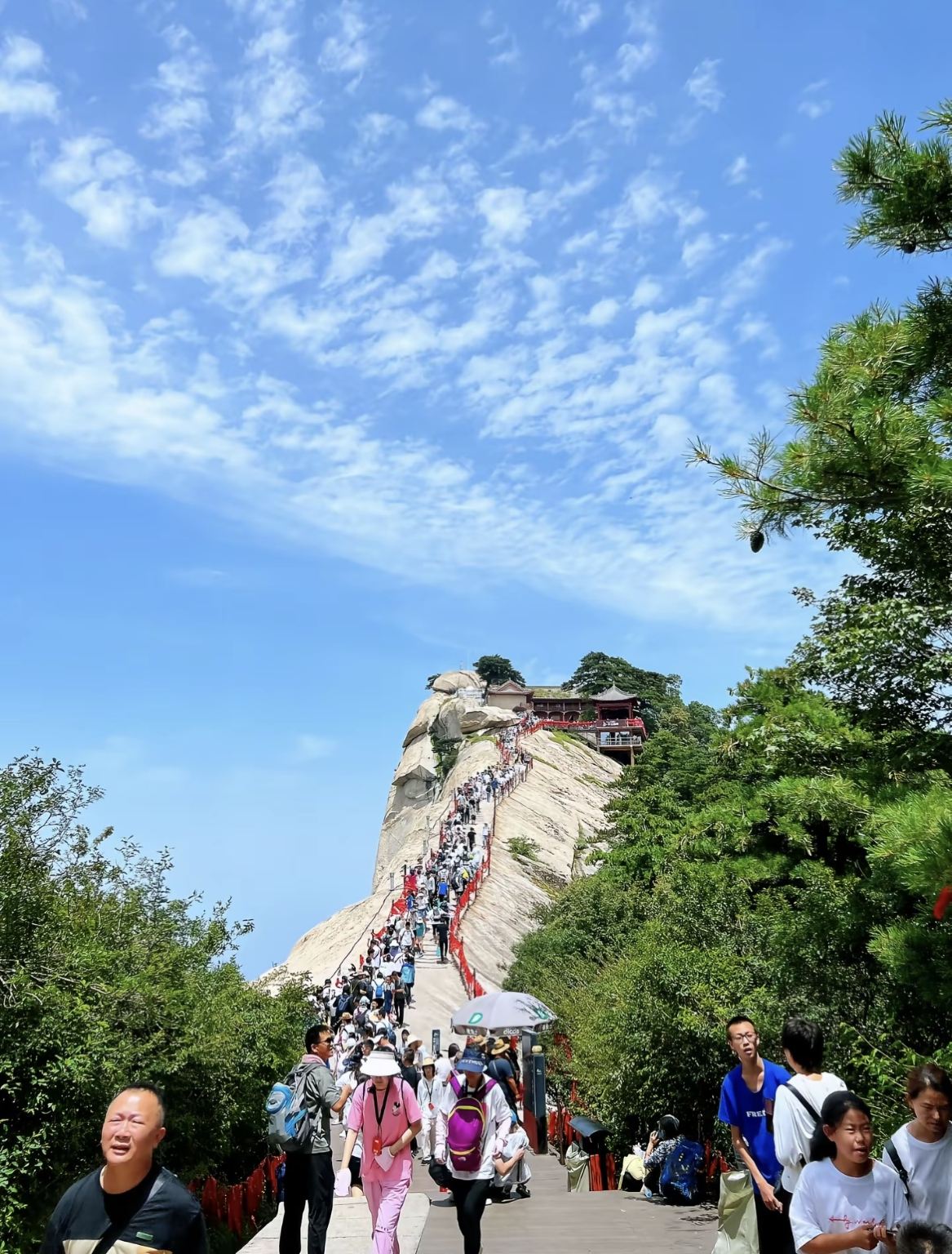 Однодневный тур в Сиань и гору Хуашань с индивидуальным трансфером (включен англоговорящий гид)