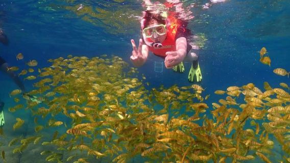 萬寧日月灣體驗潛水浮潛3小時【萬寧日月灣浮潛 10人內VIP遊艇/帆船小團 送照片影片 熱水沖淡】