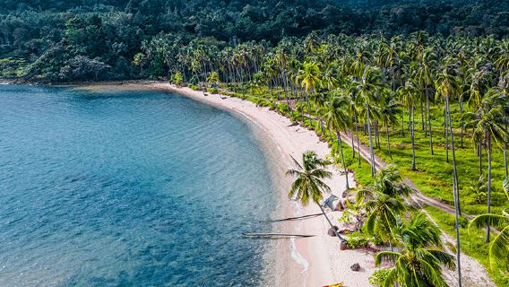 Thailand Pattaya Koh Chang Snorkeling 1-day Tour [Off-the-beaten-path Island|Large boat/speedboat options available