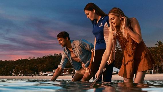 Pacchetto 3D per l'alimentazione dei delfini/avvistamento delle balene o sandboarding/elicottero all'Isola di Moreton di Brisbane, Australia