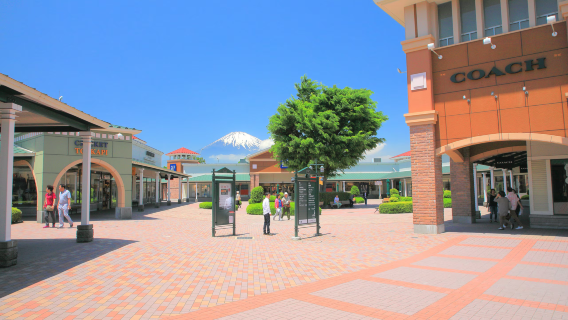Tagesausflug zum Fuji Oishi Park und Gotemba Premium Outlets ab Shinjuku