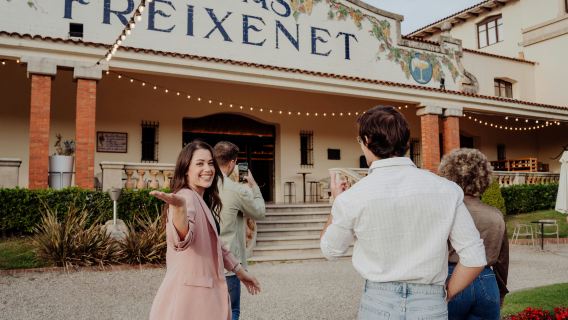 Cavas Freixenet: Guided Winery Tour + Brunch