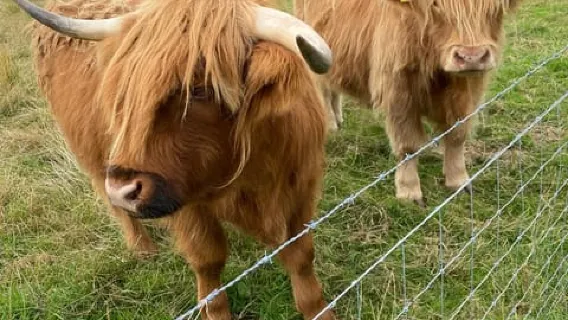 인버고든에서 출발하는 네스호, 인버네스, 클라바 케언스 등