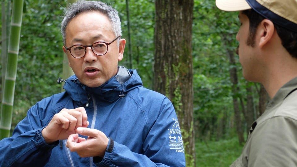 Kyoto: Highlights Guided Walking Tour