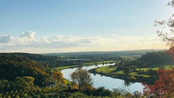 Dresden: Schifffahrt mit Weinprobe und Snacks