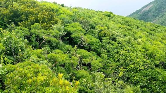 Côn Đảo: Hành trình qua Sở Rẫy – Kỳ quan thiên nhiên