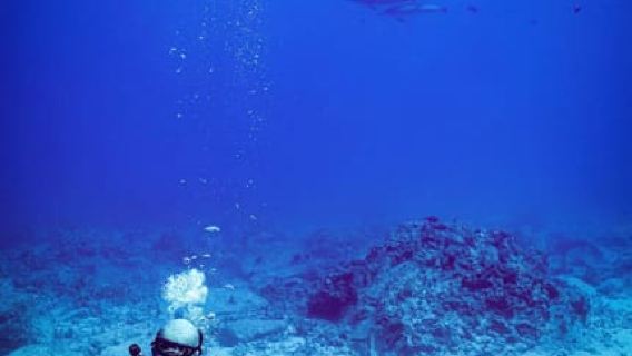 ไคลัว-โคน่า: ดำน้ำ 2 ถังในช่วงเช้า