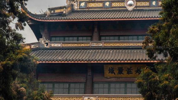 Dari Shanghai: Kuil Hangzhou Zen dan Upacara Minum Teh Longjing