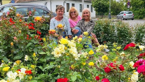 Dari Budapest: Seni dan Sejarah Szentendre dengan StreetFood