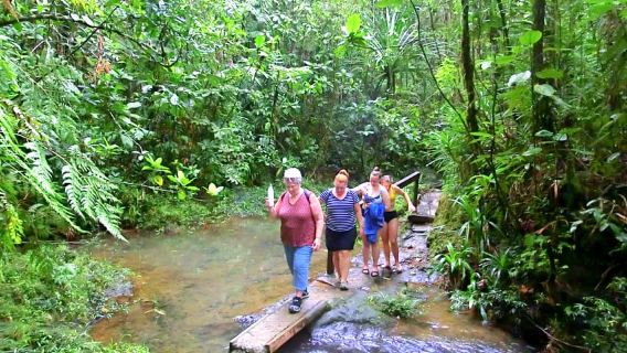Suva: Tur Wisata Kota Setengah Hari