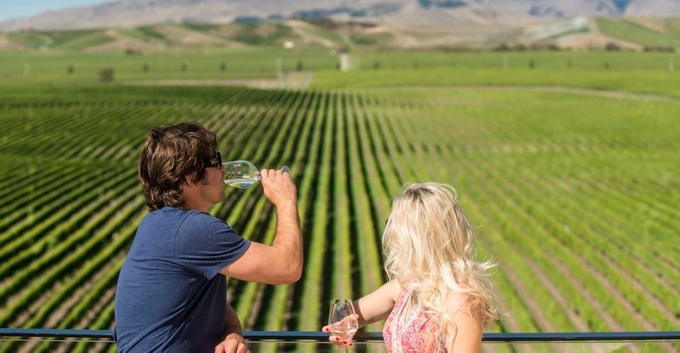 Marlborough: Wineries Visit with Tastings and 2-Course Lunch