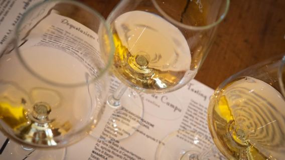 Cinque Terre: Wine Tasting and Walking Tour