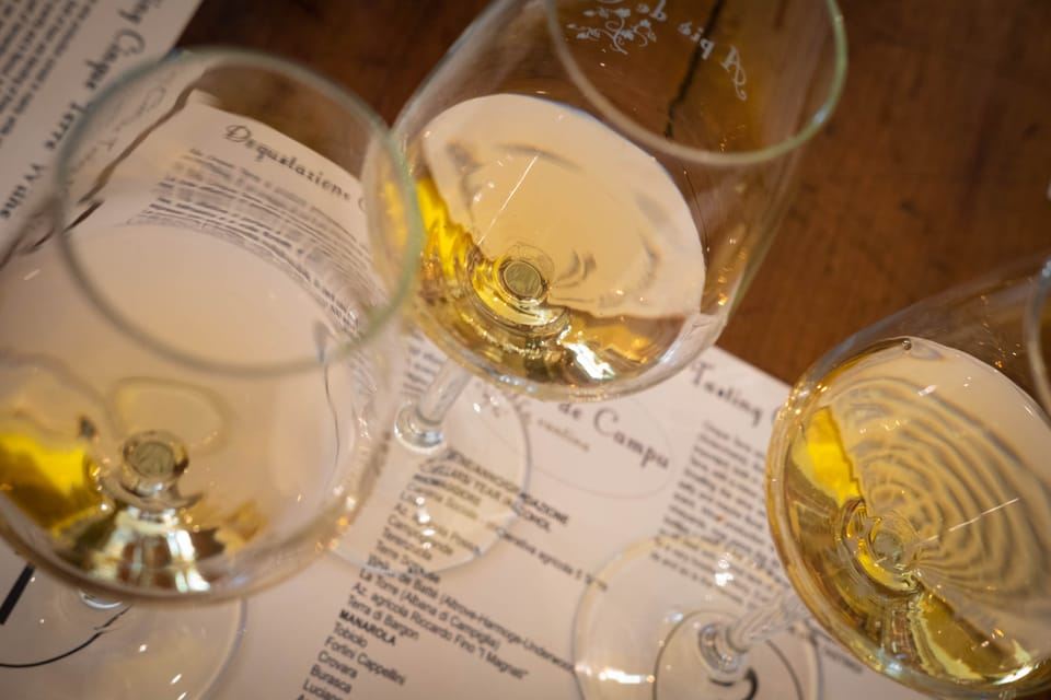 Cinque Terre: degustazione di vini e tour a piedi