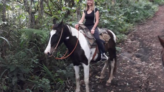 Baños: Cabalgata de 5 horas con vistas al Tungurahua