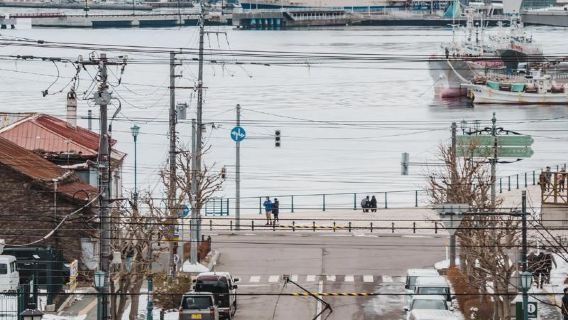 日本北海道函館+洞爺湖+支笏湖定制遊【中文包車/疊日包車】