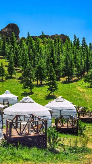 1-day private charter tour to Gorkhi Terelj National Park or resort