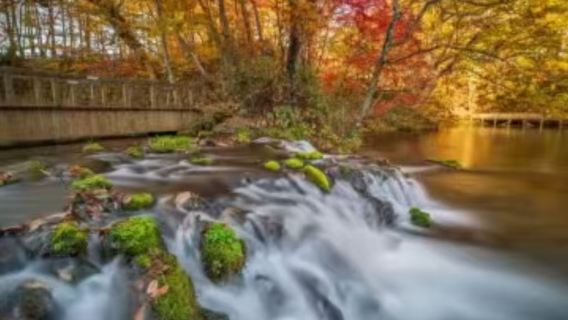 【楓葉季】定山溪+豐平峽水庫+洞爺湖+昭和新山包車一日遊