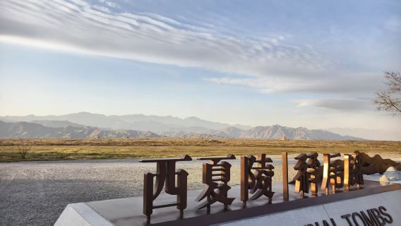 西夏陵＋賀蘭山岩畫＋拜寺口雙塔＋市區飯店接駁