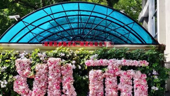 Guangzhou Baiyun one-way transfer / Customized car and driver