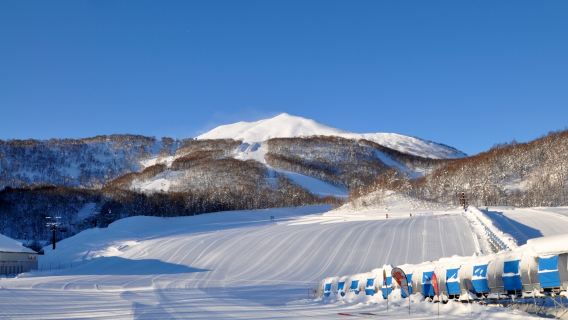 Hokkaido, Japan + Hoshino Resort Private Pick-up Service / Flexible Itinerary