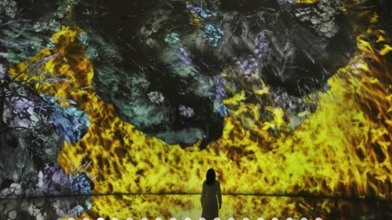 teamLab Phenomena Abu Dhabi Saadiyat Cultural Experience