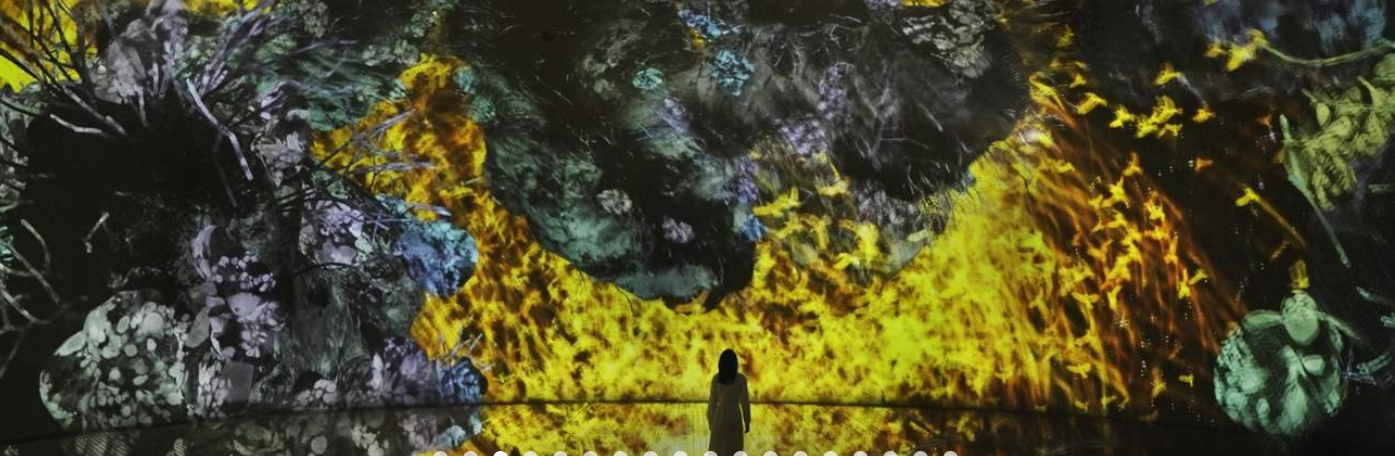 teamLab Phenomena Abu Dhabi Saadiyat Cultural Experience