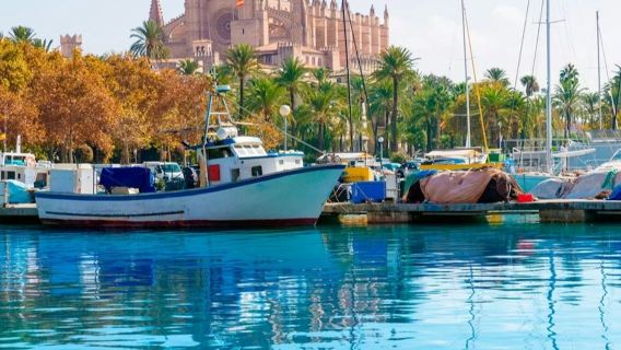 Palma de Mallorca: Boat Tour by City Sightseeing
