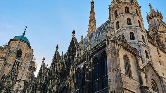 Cattedrale di Santo Stefano e città di Vienna: visita guidata