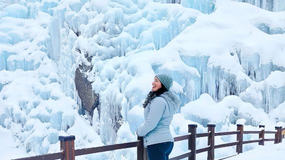 Partenza da Seul: Nami Island + Valle di Fish Flying + Villaggio Francese + Giardino Botanico di Morning Calm