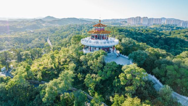 "Songxue River City" – Wusong Island + Songhua Lake Skiing + Beishan (North Hill) Garden Panoramic Day Tour