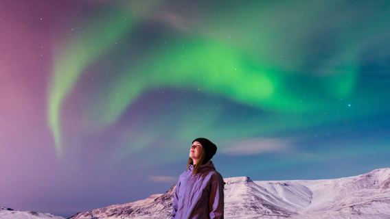 Excursión de un día en grupo chino-inglés para ver la aurora boreal en Islandia|No disponible ahora, pero hay salidas diarias/opción de recogida en la ciudad