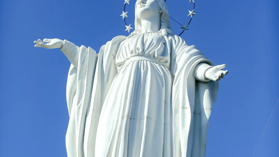 智利境內/專業中文導遊/地陪/翻譯/景區講解