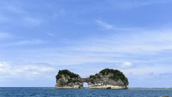 Osaka: Wakayama + Kuroshio Market + Shirarahama Beach [Chinese Private Charter/Adjustable Itinerary]