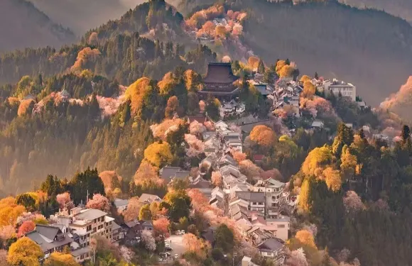 【吉野山】奈良公園+萌鹿+唐招提寺+吉野山賞櫻包車一日遊