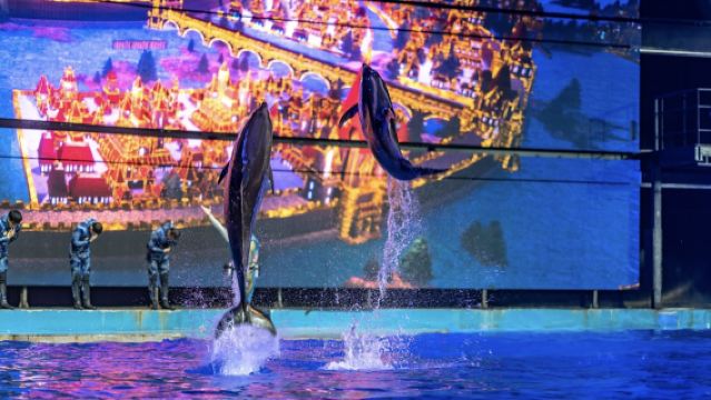 El espectáculo C de Atlantis Sanya (cuento de hadas submarino + romance de sirenas + juego de luces y sombras + banquete legendario)