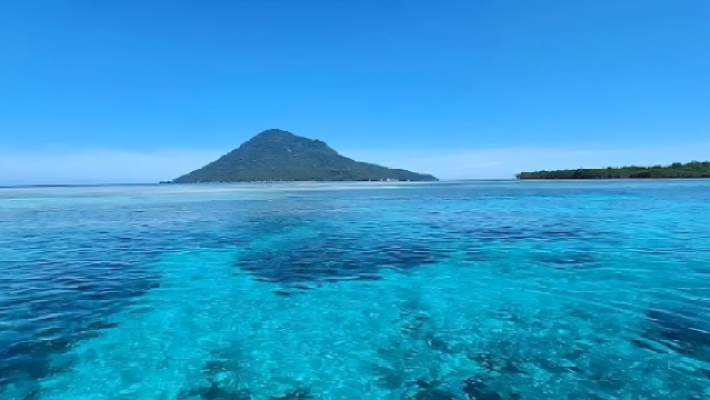 1-day tour to Bunaken National Park in Manado with snorkeling/scuba diving and city transfers led by experienced instructors