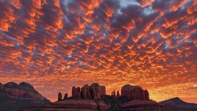 美國鳳凰城來回塞多納一日遊【心靈淨化之旅+中文定制包車】