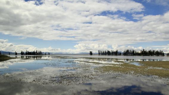 Salt Lake City, Amerika + Taman Negara Yellowstone + Tasik Yellowstone + Jambatan Memancing [Sewaan Peribadi dalam Bahasa Cina Boleh Disesuaikan]